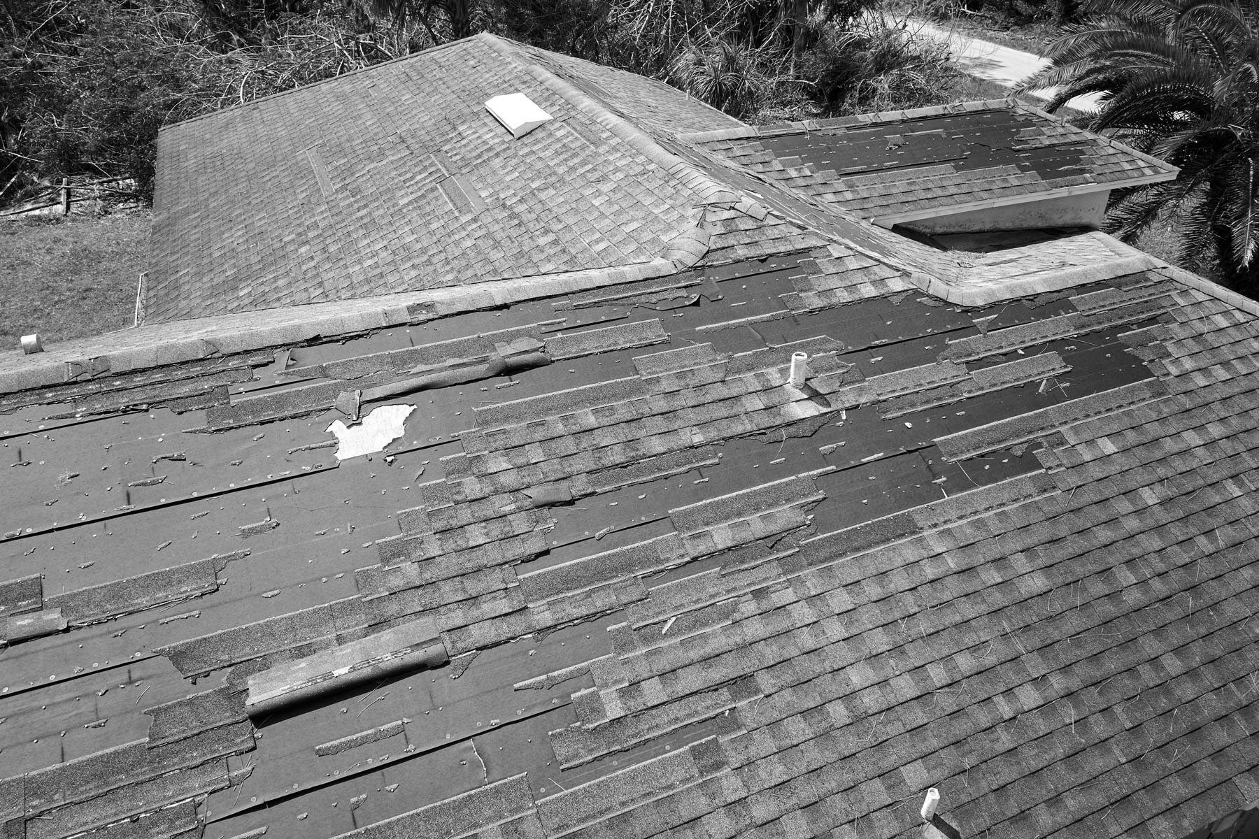roof-shi-3